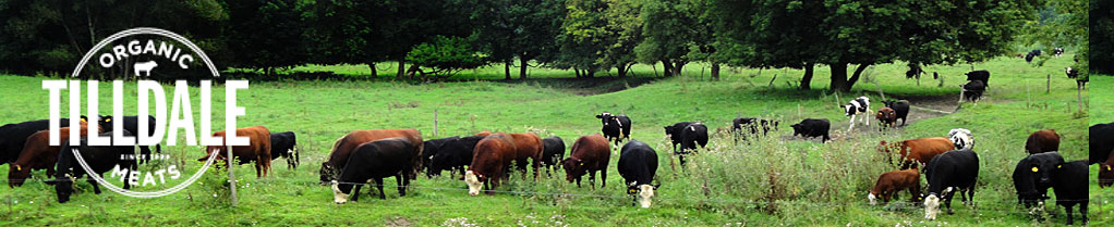 Tilldale Farm